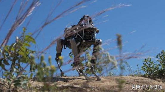 大狗，最适应崎岖地形的机器人！美军弃用，中国却方兴未艾