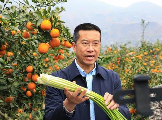 加仓！阿里巴巴又开了一家供应链公司