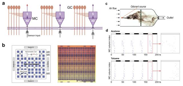登上Nature子刊封面：英特尔神经芯片实现在线学习