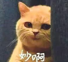 苹果申请新专利，但总觉得，这个专利「不怀好意」呢
