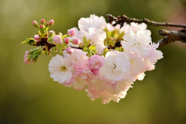 风靡全国的中国移动5G，与VR技术的有效融合，将会颠覆传统旅游业