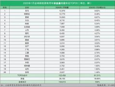 全球新能源汽车销量排名(2020年1月)：全球销量冠军易主