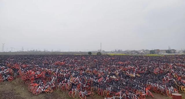 10人到江苏偷走5000多辆共享单车！被找到时在废品收购站