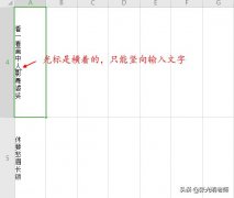 Excel单元格的光标变成横的，只能竖向输入文字