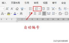 Word中使用自动编号的注意事项