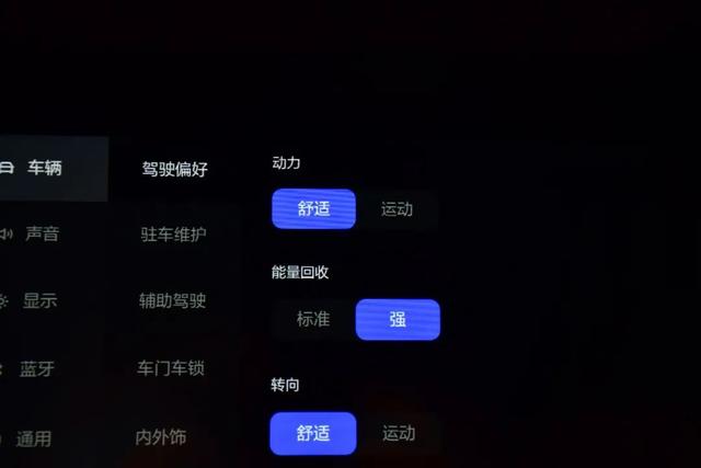 6/7座可选，不烧油可轻松跑126km，PHEV车型纯电续航最高记录诞生