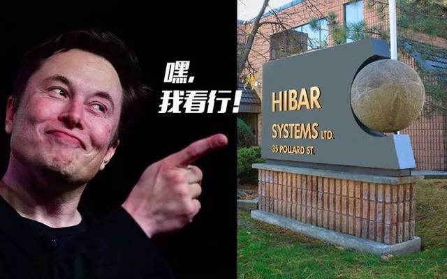 为什么说特斯拉越来越像中国花木兰？|灵机e动