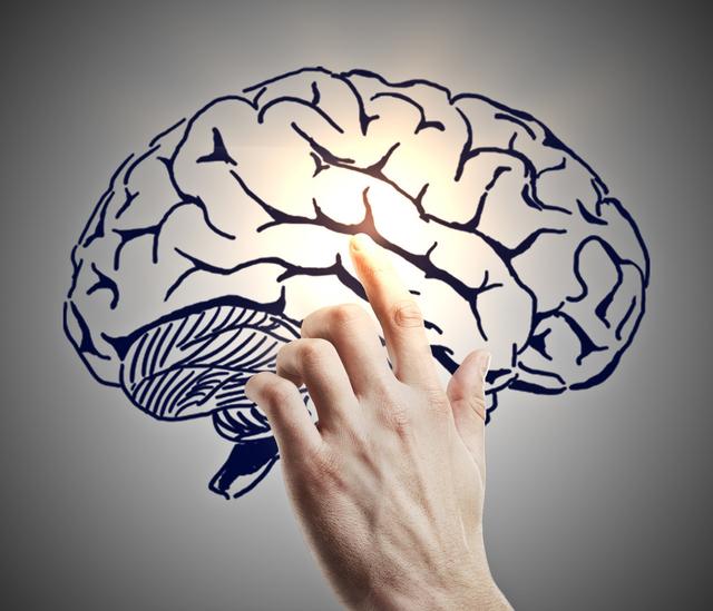 通过AI算法模仿人类大脑！DeepMind正在研究多巴胺奖励系统