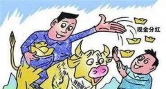 良心企业！陌陌一直赚钱，一直发钱，股东一直爽