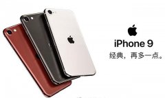 iPhone11和iPhone9怎么选？业内人士的回答，说到我心坎上了！