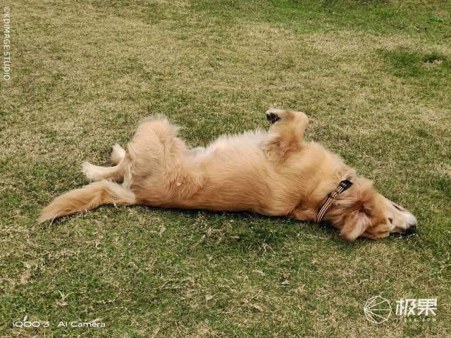 强大的性能旗舰手机！骁龙865+双模5G，极速体验秀翻全场！