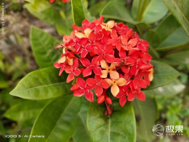 强大的性能旗舰手机！骁龙865+双模5G，极速体验秀翻全场！