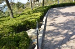 想购入iPad Pro2018 12.9寸，但是又害怕变弯，该怎么办？