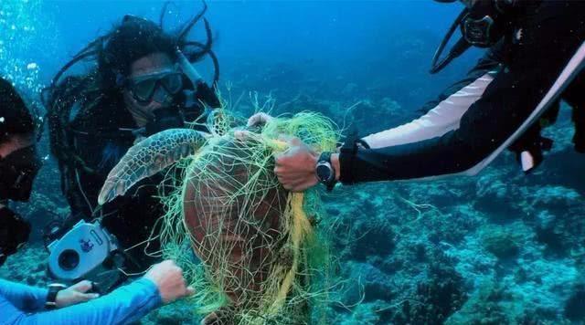 惊现“新大陆”！面积竟是日本的3倍，正在不断向中国靠近