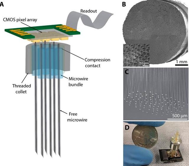挑战马斯克Neuralink！斯坦福全新脑机接口，直连大脑和硅基芯片