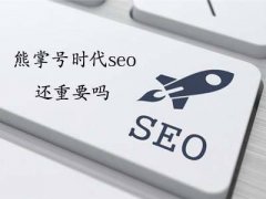 起床做seo了，又是写文章的一天!
