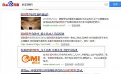 那些百度SEO快速排名怎么做到的？答案是：快速排名工具