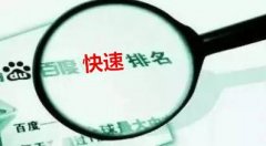 「SEO排名」百度快速排名完整算法，每个人都会的操作！