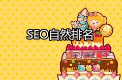 影响SEO排名的11个要素？小小课堂SEO教程