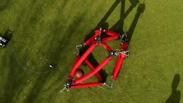 机器界的奇葩，软体机器人，能够随意调节形态、大小