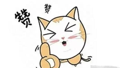 移动为什么总打电话劝你升级套餐前内部员工的说法，令人难以置信