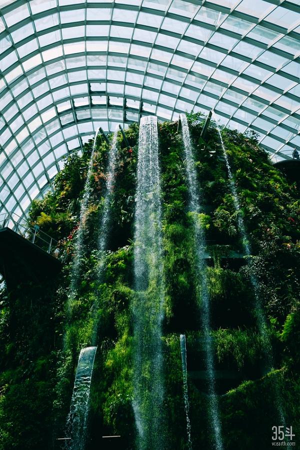 PNP发布2020农业科技趋势预判，AIOT、室内农业、自动化是重点