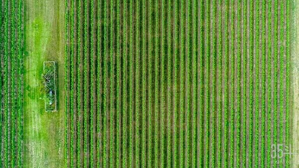 PNP发布2020农业科技趋势预判，AIOT、室内农业、自动化是重点