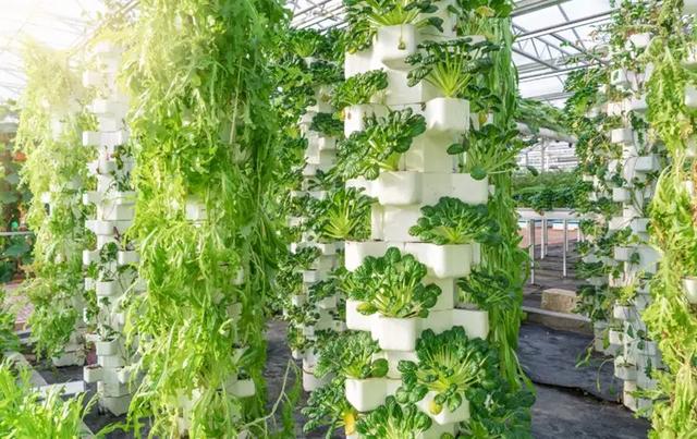 在跨界中发现价值：风投眼中的2020农业科技投资趋势