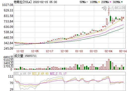 特斯拉“做空”疑云：挫败、集体幻觉与暗流涌动