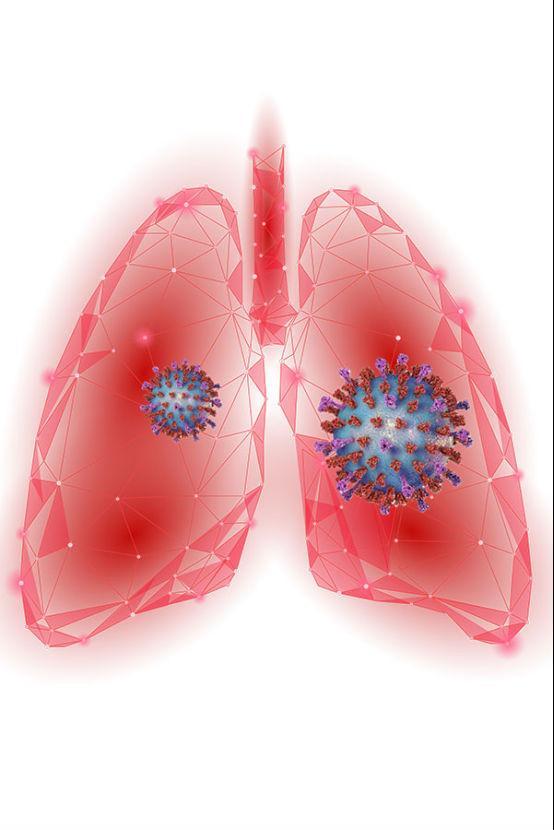 全新双进风系统带来强劲净化性能，小米净化器图赏