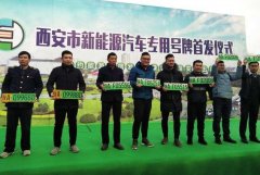 第一批“吃螃蟹”买绿牌车的人怎么样？车主：早知今日，悔不当初