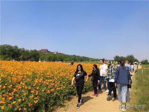 马云预言：未来最好的发展机会在农村，这几个机遇要把握住