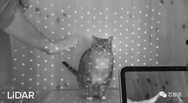 苹果“激光雷达扫描仪”拆解：dToF技术会成为主流吗？