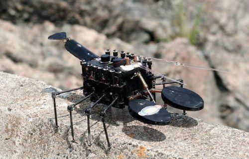 机器人昆虫即将成为现实