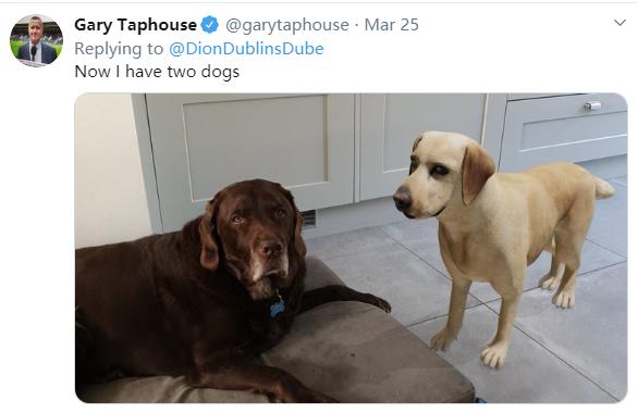 谷歌裸眼3D动物意外蹿红，掀起一股AR体验小高潮