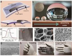 我国科学家研究出可持续柔性水伏发电机，自供能可穿戴传感系统
