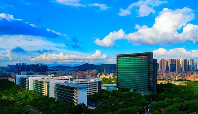 中年男子被骗200万失业又离婚，绝地反击深耕30年成就世界第一