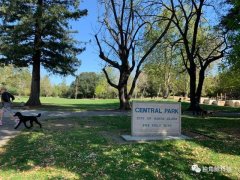 疫情下的硅谷：苹果总部空了，亚马逊生鲜需三周送达，有企业裁员