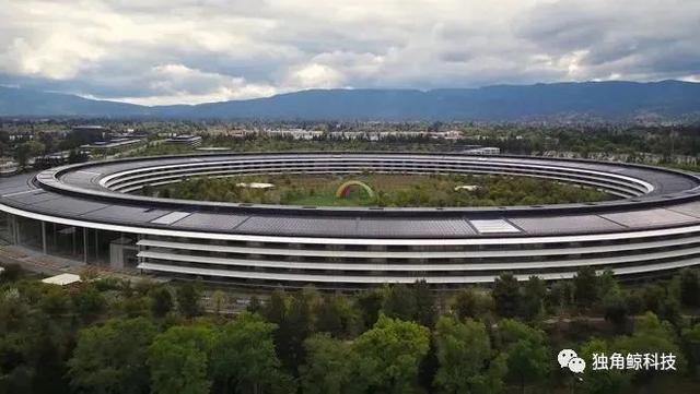 疫情下的硅谷：苹果总部空了，亚马逊生鲜需三周送达，有企业裁员