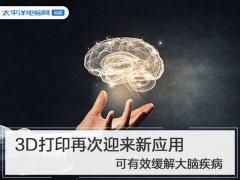 3D打印再次迎来新应用 可有效缓解大脑疾病