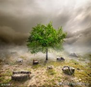 中国新能源风力发电，突破技术瓶颈，打造新基建第一风电产业