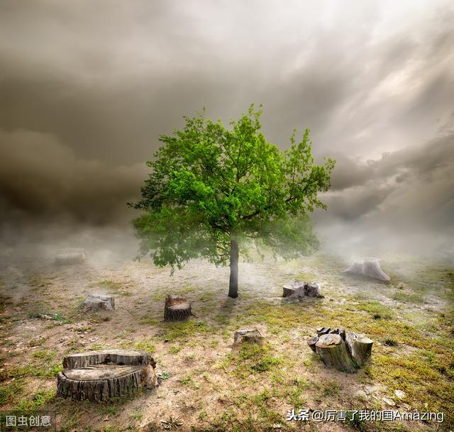 中国新能源风力发电，突破技术瓶颈，打造新基建第一风电产业