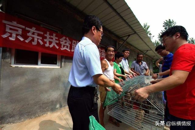 不到50岁就宣布卸任，为什么刘强东这时候离开？这两个原因很现实