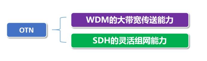 龙头风范！全球最大OTN商用网络项目，中兴包了