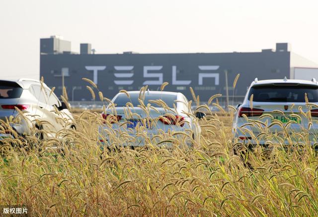 全球裁员、无薪休假！特斯拉开启疯狂自救模式