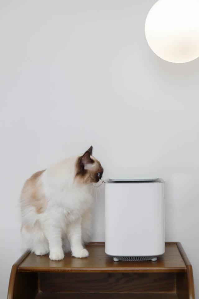 小米有品又击穿行业暴利！469的价格8800的质量，戴森坐不住了！