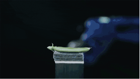 这些机器人精彩案例动图可能对你有用