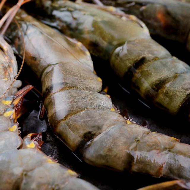 无畏源于无知！越南也想学美国找华为麻烦，结果啪啪打脸了！