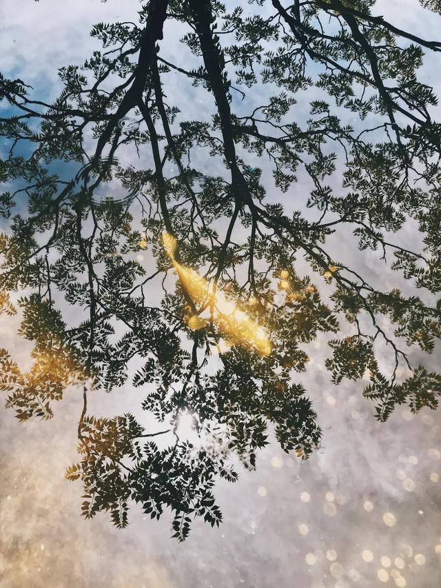 iPhone 相机操作指南 3.0 (一)