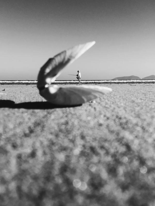 iPhone 相机操作指南 3.0 （一）